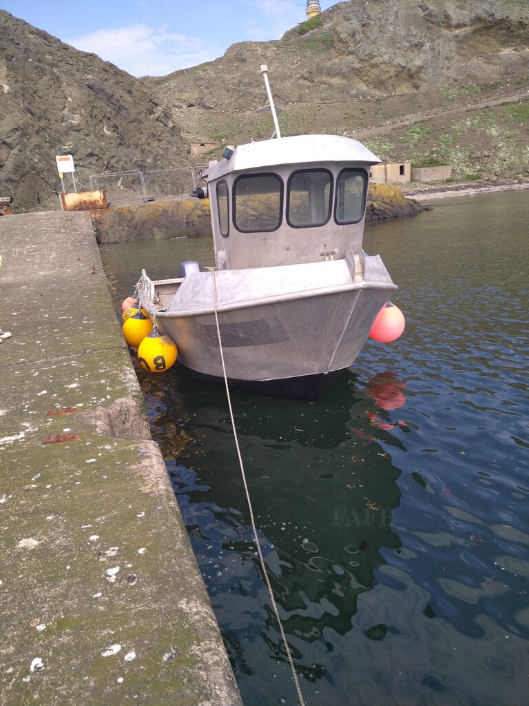 Barron Robertson of Shetland 19