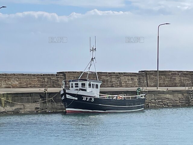 Large picture for advert 118304