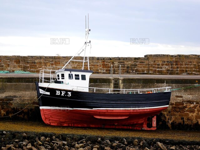 Large picture for advert 118304