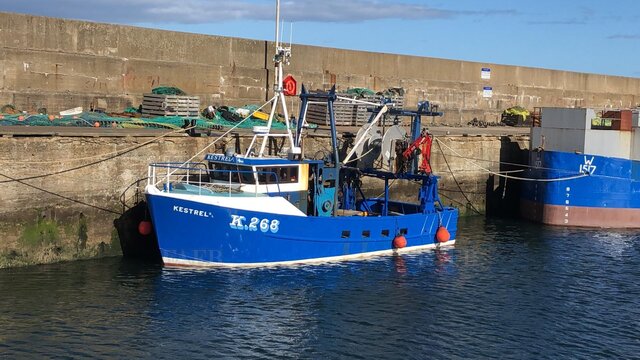 Large picture for advert 107554