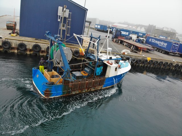 Large picture for advert 107554