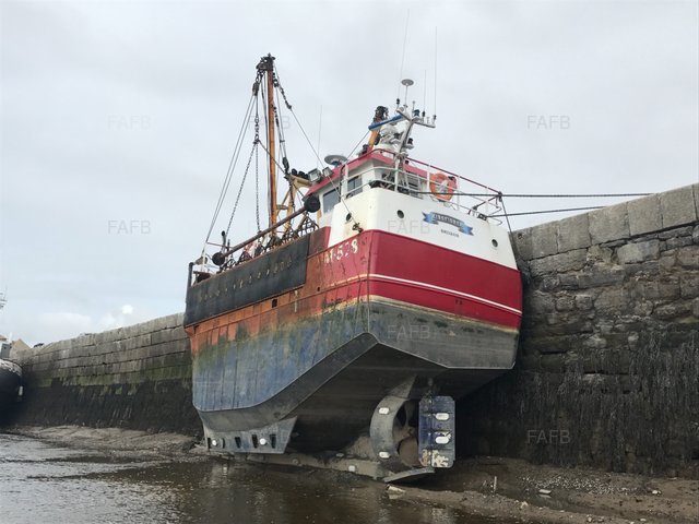 Large picture for advert 105104