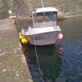 Extra picture for advert 124204